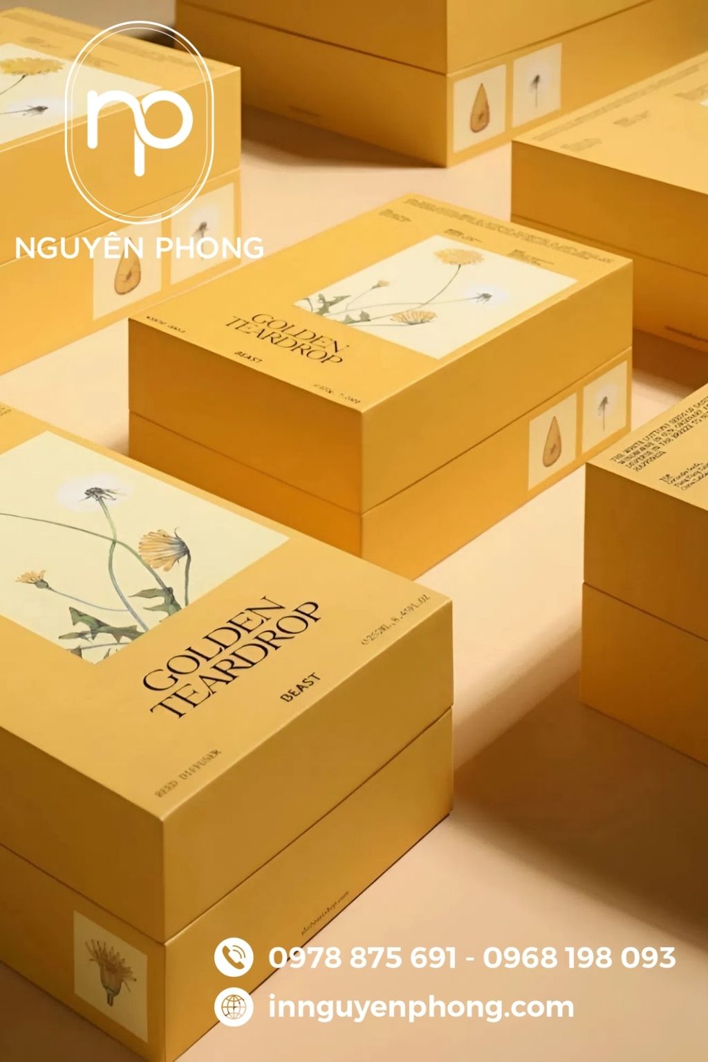 Mẫu hộp giấy đựng bột cà rốt cao cấp 